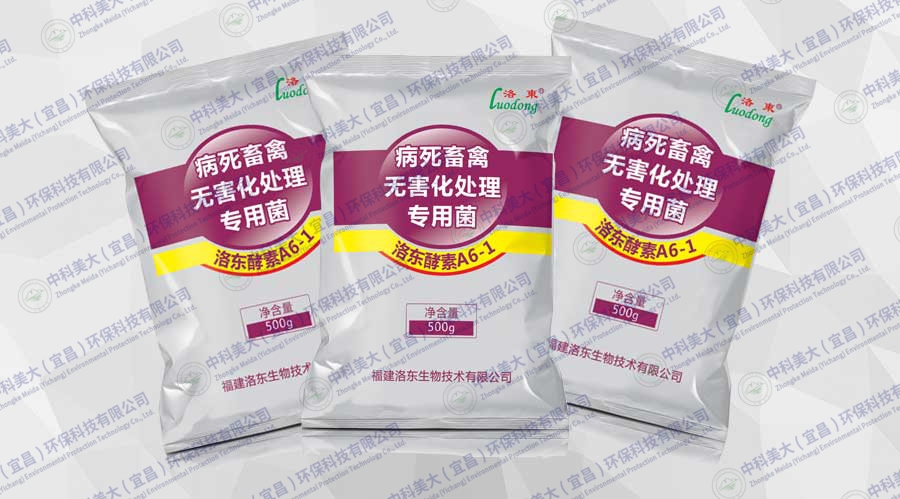 &#20048;&#40060;&#32593;&#39029;&#29256;&#45;&#20048;&#40060;&#40;&#20013;&#22269;&#41;&#23448;&#26041;